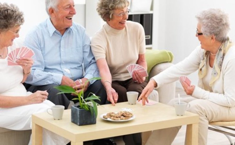 LLP Health Care Services of Illinois, Inc