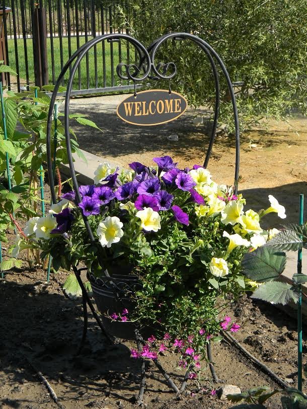 Oakmont of Roseville