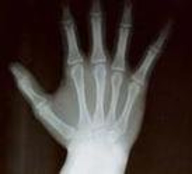 Okeechobee Healthcare Facility 