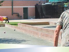 The 5 Best Adult Day Care Services In Lincolnwood Il For 2021