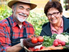 Home Care Agencies Baltimore