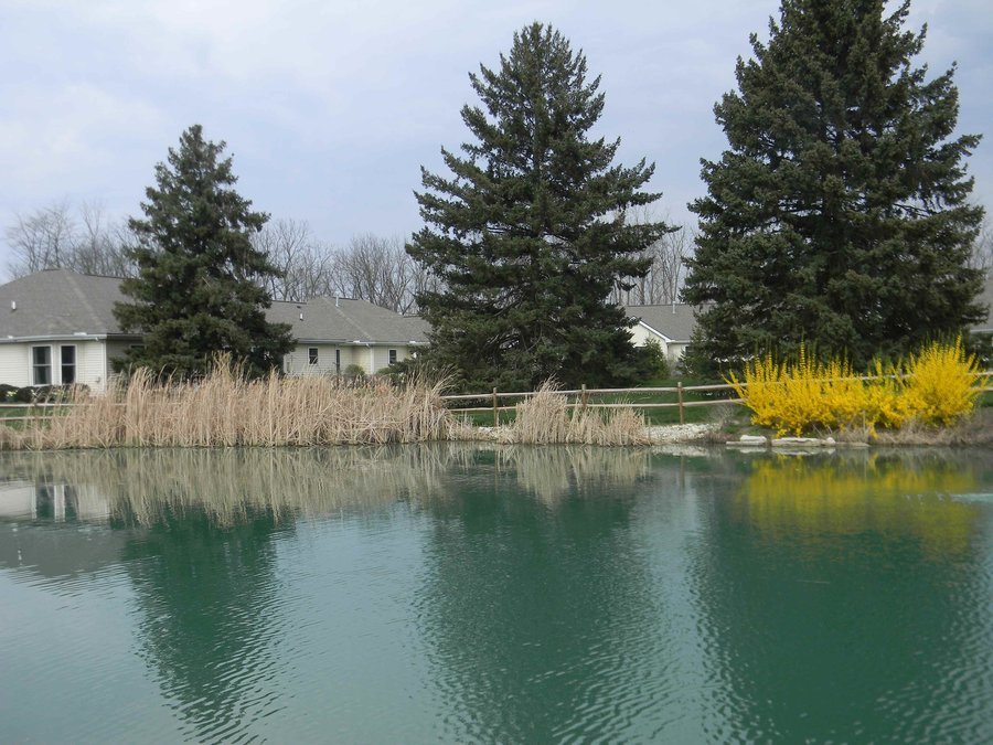 Willow Brook at Delaware Run