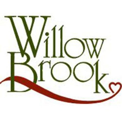 Willow Brook Christian Village image