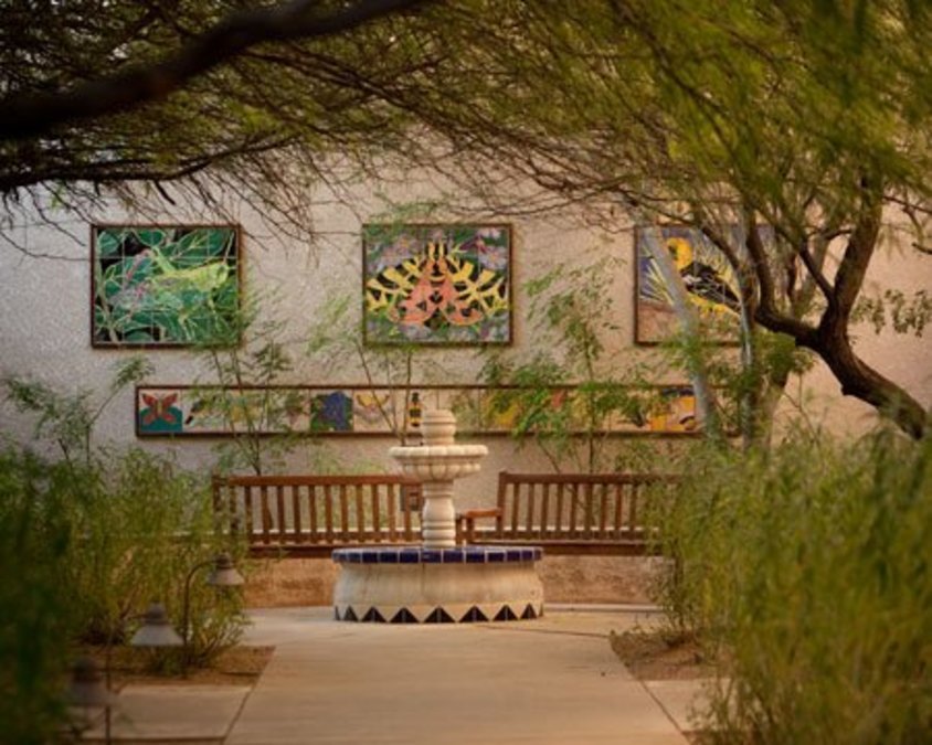 The Fountains at La Cholla