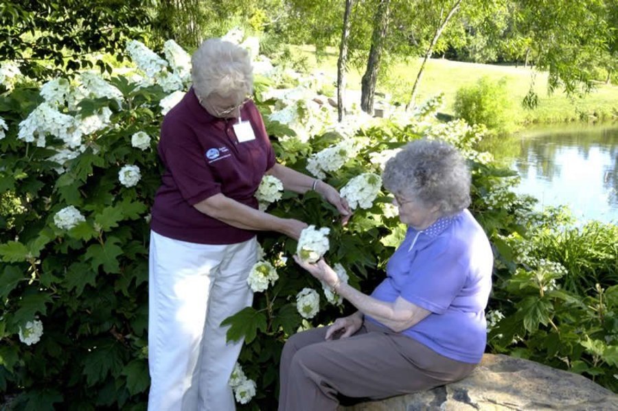 Comfort Keepers of Anderson