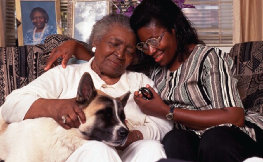 Visiting Angels - Lakeshore