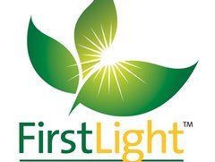 Home Care Agencies In Rochester Ny