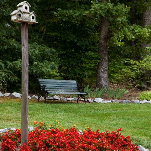 Red Springs Assisted Living