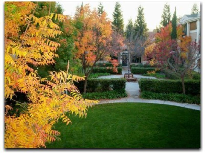 Terraces of Los Gatos