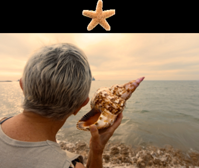 The Gardens Carlsbad