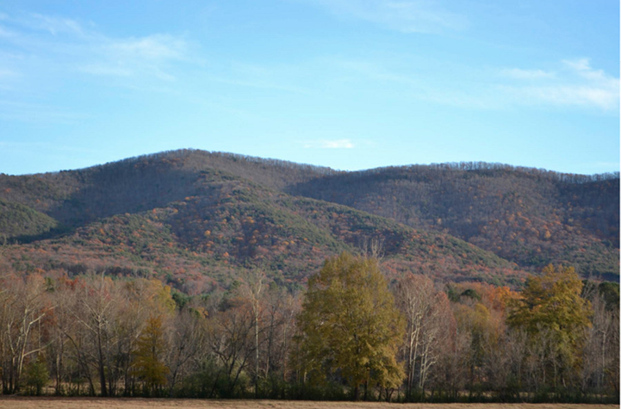 Dugger Mountain Assisted Living and Specialty Care Facility