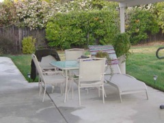 photo of The Elderly Inn #3