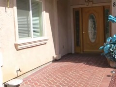 photo of Paradise Living