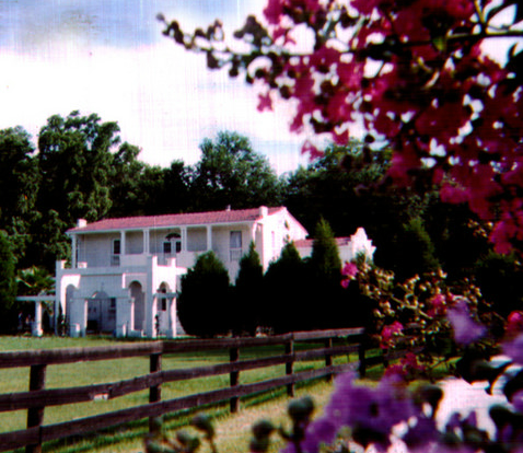 The Hacienda House image