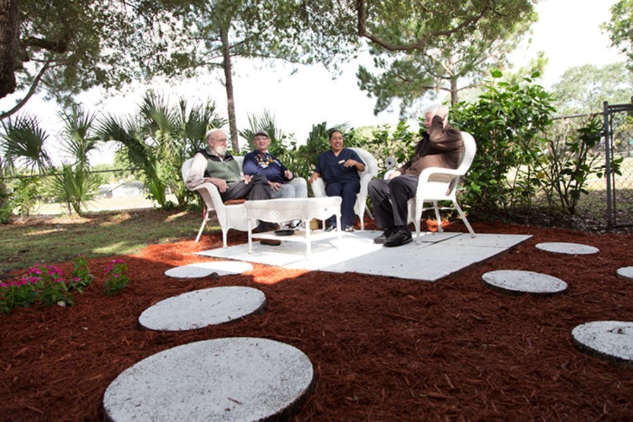 Curlew Care of Clearwater