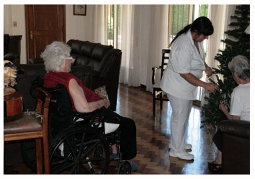 Tampa Seniors Care