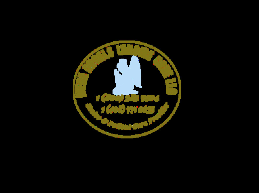 Mega Angels In Home Care LLC