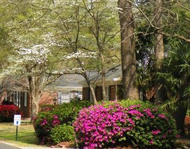 Presbyterian Home of Sc - Summerville