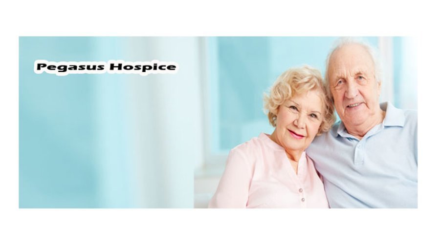 Pegasus Hospice Llc