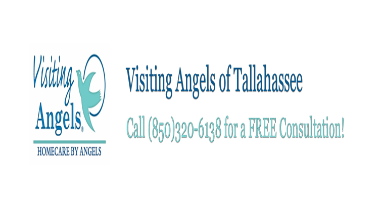 Visiting Angels of Tallahassee image