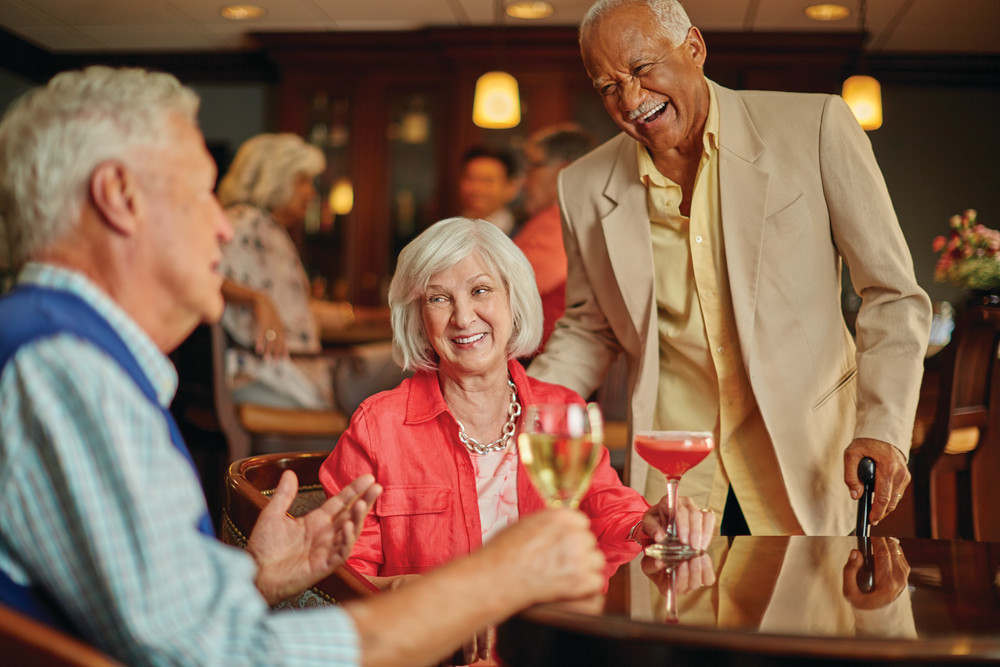 Vi at Lakeside Village 