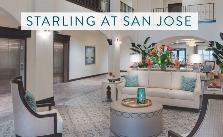 Starling of San Jose