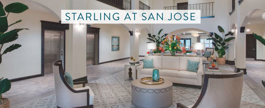 Starling of San Jose