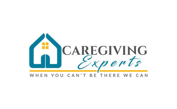 Caregiving Experts LLC - Plymouth, MI image