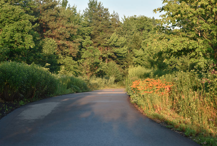 Rose Senior Living at Providence Park