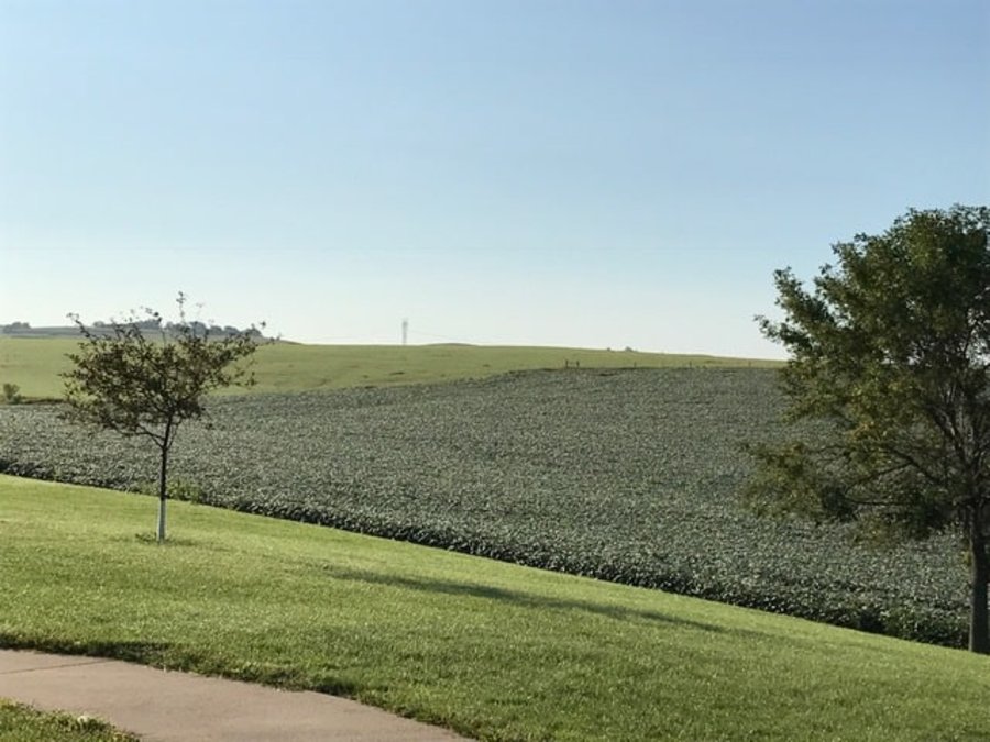 Lawton Senior Living