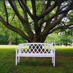 24 Assisted Living Facilities near Wilmington, DE photo of Madeline Care Center
