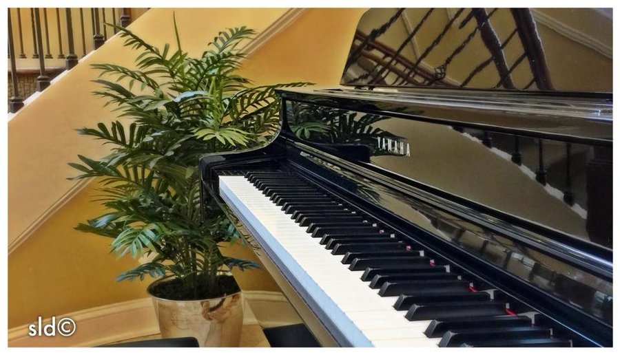 Canterfield of Franklin