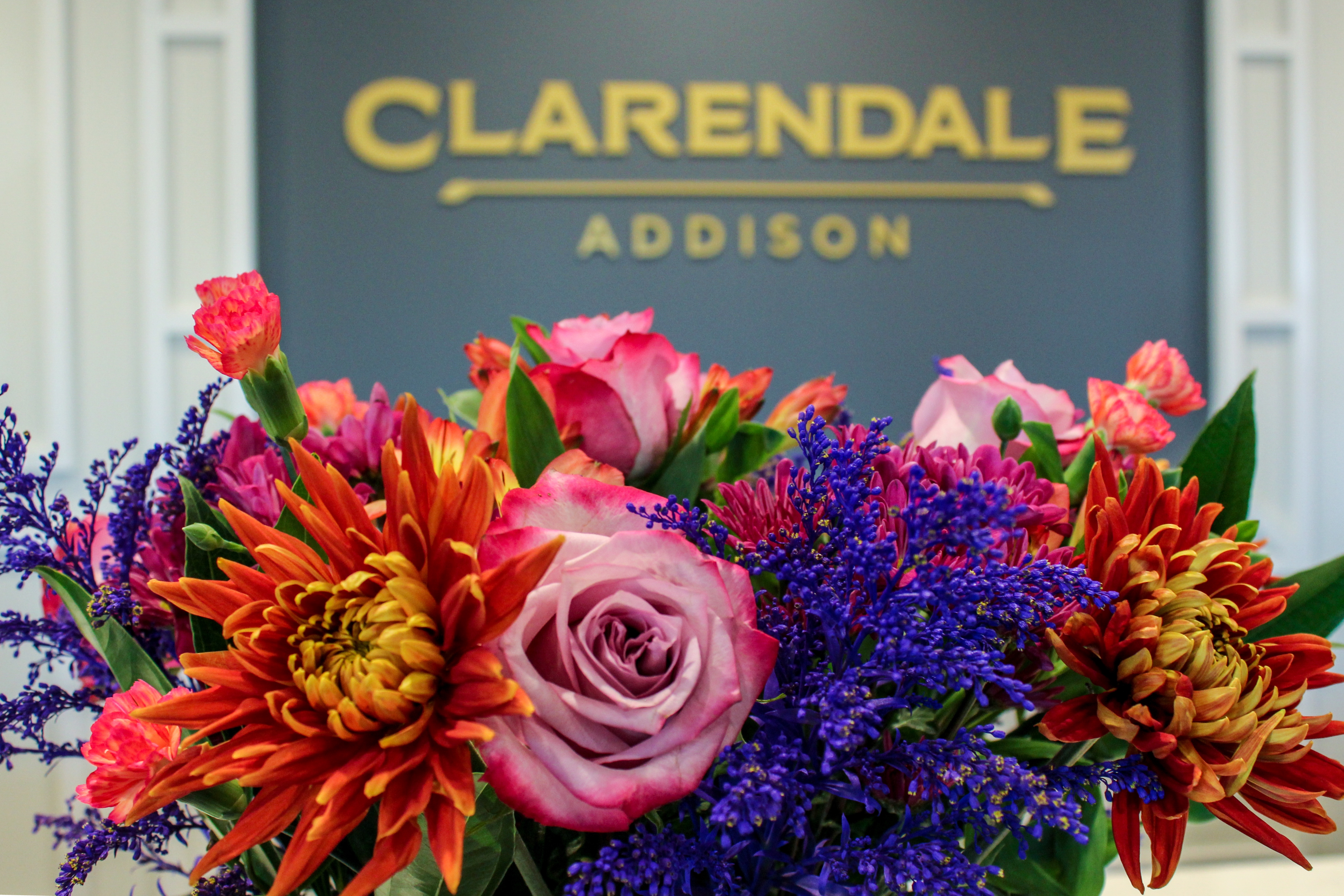 Clarendale of Addison