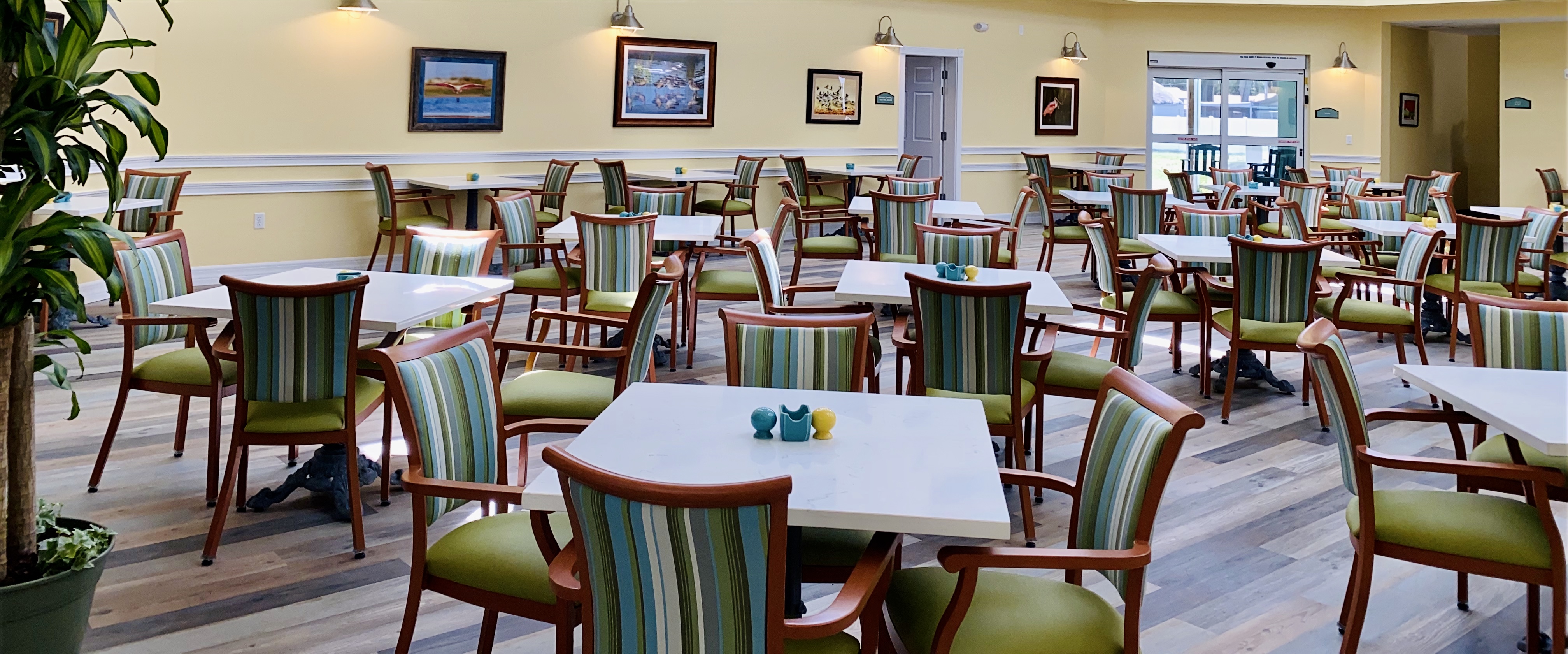 The 10 Best Assisted Living Facilities in Trinity, FL for 2024