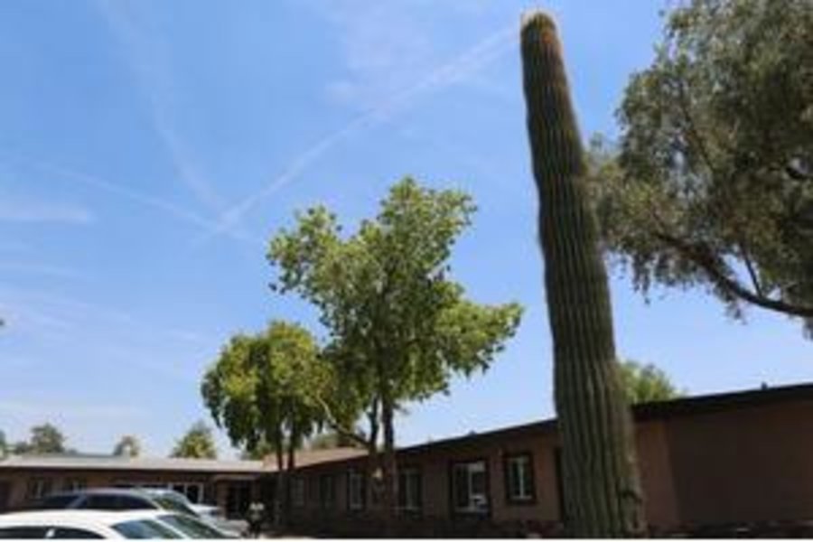 Desert Terrace Nursing Center