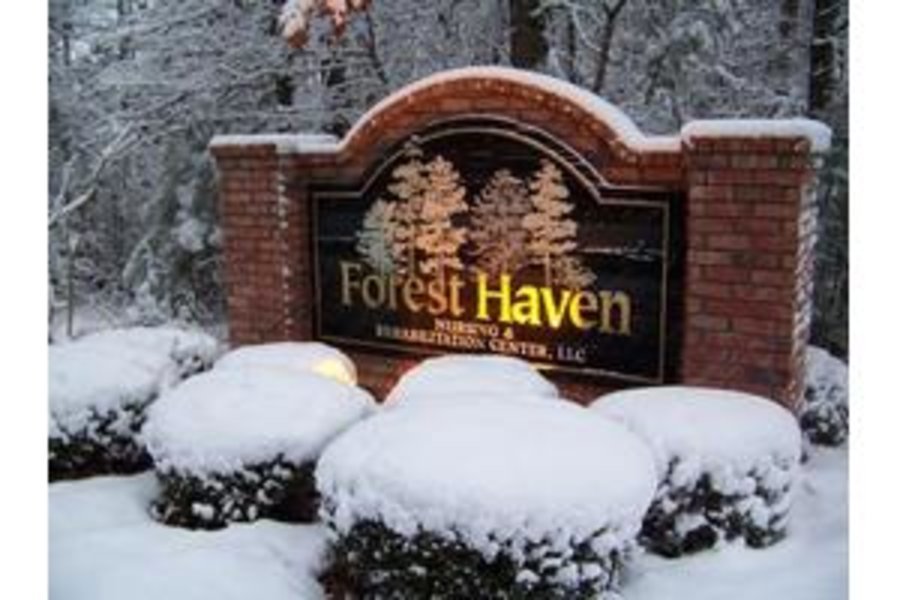 Forest Haven Nursing & Rehab Ctr, Llc