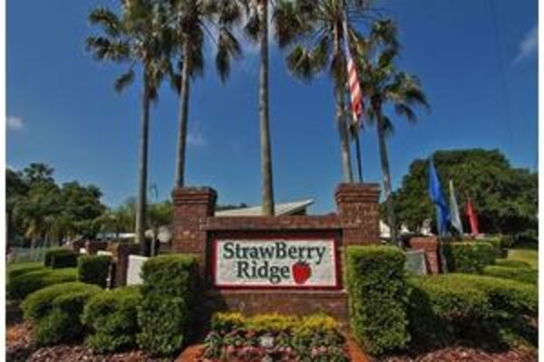 StrawBerry Ridge