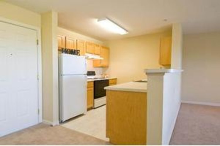 Conifer Village Senior Apartments at Patchogue East Patchogue, NY