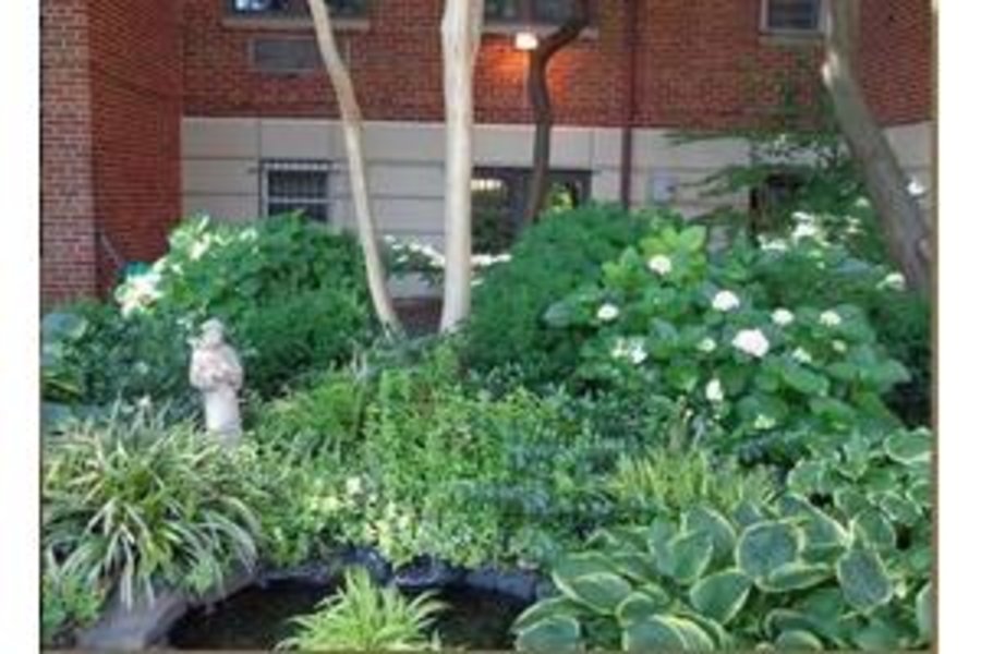 Sacred Heart Free Home