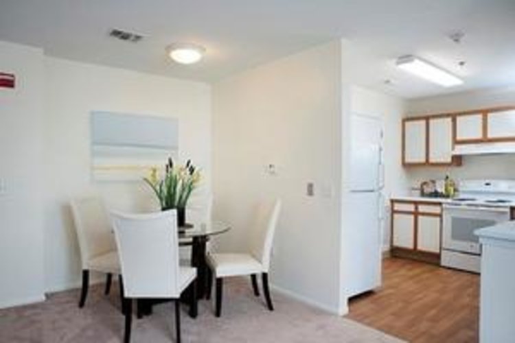 Idlewild Creek Cornwall, NY