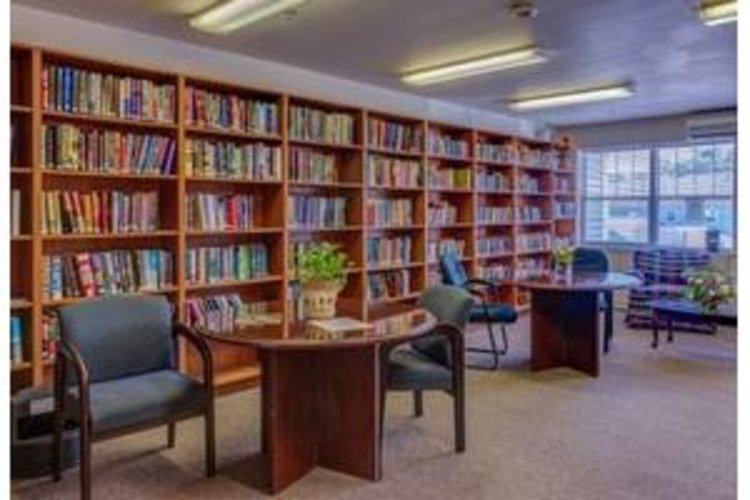 Idlewild Creek Cornwall, NY