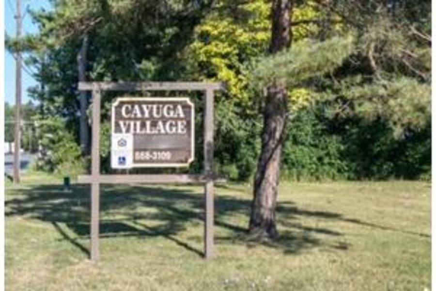 Cayuga Village