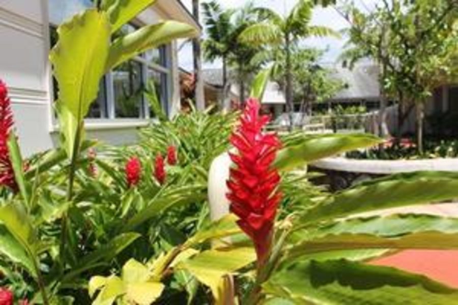 Maunalani Nursing and Rehabilitation Center