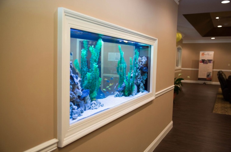 BeeHive Homes of Gainesville Gainesville, GA