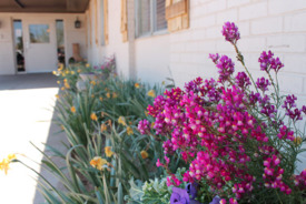 Lubbock LTC Nursing & Rehabilitation