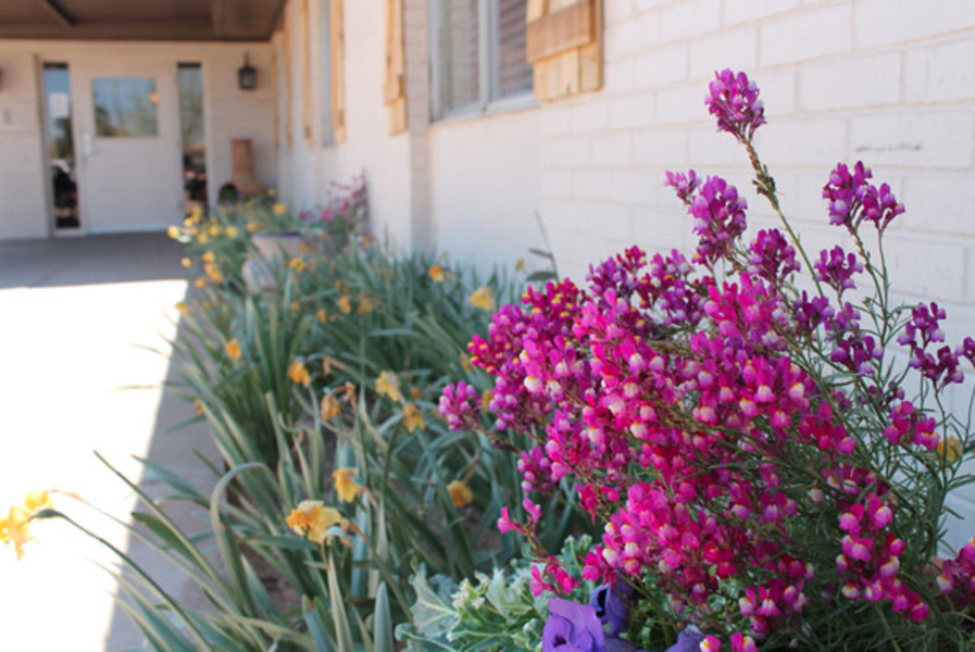 Lubbock LTC Nursing & Rehabilitation