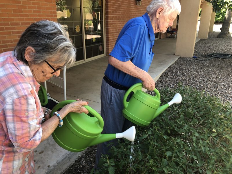 Woodland Palms Memory Care