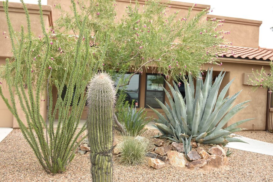 Park Senior Villas - La Canada