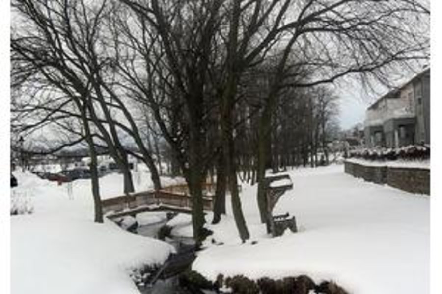 Homewood at Plum Creek