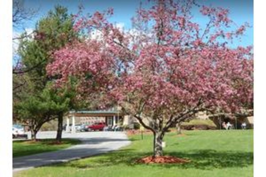 New Windsor Country Inn